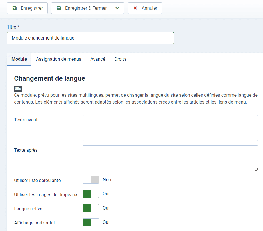 module changement de langue