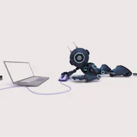 robots.txt & meta tag