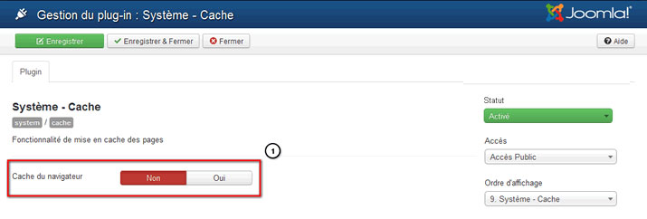 parametre plugin cache joomla 3