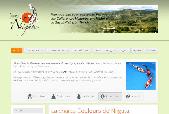 Couleurs de Niigata  : Design & migration