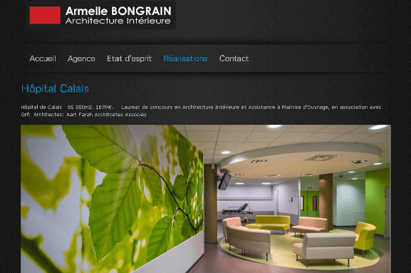 Armelle Bongrain : site internet